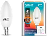 Светодиодная лампочка Gauss Smart Home 1110112