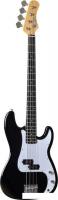 Бас-гитара EKO VPB-100 Black