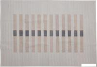 Ковер для жилой комнаты AksHome Velvet TL-199 (200x300)