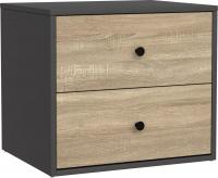 Комод Mio Tesoro Мини 2 ящика 2.07.03.050.12 (черный/сонома)
