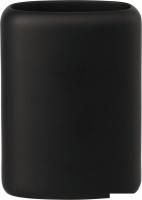 Стакан для зубной щетки и пасты Bergenson Bjorn Slim BB0000954 (черный)