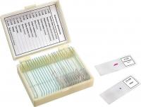 Микромед Анатомия и Физиология 22751