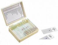 Микромед Анатомия и физиология 22750