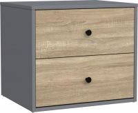 Тумба Mio Tesoro Мини 2 ящика 2.07.03.050.13 (серый/сонома)