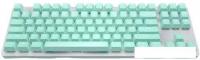 Клавиатура IO by Red Square Typex v2 g3ms Sapphire (мятный)