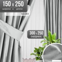 Комплект штор Mio Tesoro Velvet 150x250 + Гардина Вуаль 300х250 (светло-серый, белый)