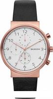 Наручные часы Skagen SKW6371