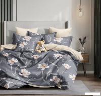 Постельное белье Реноме 2сп Темно-синяя коллекция New St-2593 (сатин)