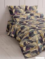 Постельное белье Реноме Шуя евро размер 202891