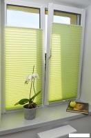 Плиссе Delfa Basic Crush СПШ-8513 (43x160, салатовый)