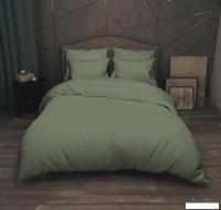 Постельное белье Реноме Евро Поплин 210x225 (лавровый лист)