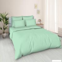 Постельное белье Реноме 2сп Поплин 175x210 (мятный)