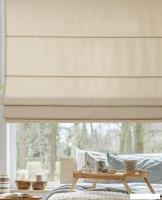 Римская штора Delfa Макси Roman СШД-02М 270/8834 (120x160, бежевый)