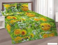 Постельное белье Реноме 1.5сп Шуя 81711