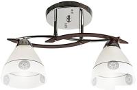 Люстра средней высоты Aitin Pro НПБ 02-2x60-101 1454/2 (хром)