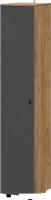 Шкаф-пенал Mio Tesoro Байкал однодверный (дуб золотистый/графит)