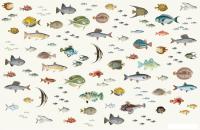 Фотообои Citydecor Dreamy 3 (400x260см)