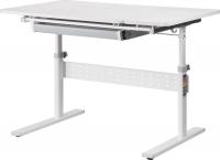 Парта Растущая мебель Е603