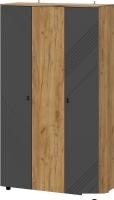 Шкаф распашной Mio Tesoro Байкал трехстворчатый (дуб золотистый/графит)