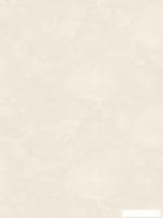 Флизелиновые обои Аспект 70657-24