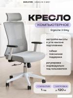 Офисное кресло Evolution ErgoLine 3 (серый)