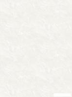 Флизелиновые обои Аспект 74000-12