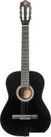 Акустическая гитара ROKSO FT-C-B39-BK