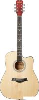 Акустическая гитара ROKSO FT-221-N