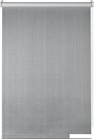 Рулонные шторы Franc Gardiner Blackout Dublin 120x175 6533520 (серый)