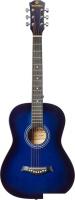 Акустическая гитара ROKSO FT-R38B-BLS