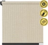 Рулонная электроштора НеоФьюжен Эден 250 170х250 правая (серый лен, черная фурнитура)