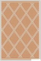 Ковер для жилой комнаты Moldabela Flat Прямоугольник 4911 1 24142 (1.6x2.3)