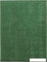 Ковер для жилой комнаты Moldabela Shiny Прямоугольник 1039 1 36600 (1.6x2.3)