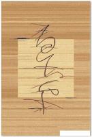 Ковер для жилой комнаты Moldabela Aquarelle Прямоугольник 255 1 41034 (0.8x1.6)