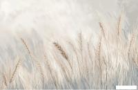 Флизелиновые обои Citydecor Невесомость 45 (400x260см)