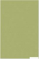 Ковер для жилой комнаты Moldabela Lana Прямоугольник 7649 1 70300 (0.8x1.5)