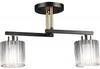 Припотолочная люстра Aitin Pro НПБ 02-2x60-101 N6787/2 (черный/медь)