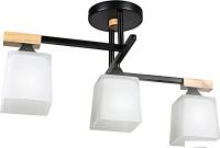 Люстра средней высоты Aitin Pro НПБ 02-3x60-101 96189/3 (черный)