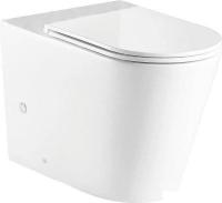 Унитаз напольный WeltWasser WW Salzbach 001 XL GL-WT (белый глянец чаша)