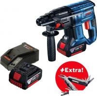Перфоратор Bosch GBH 180-LI Professional 0615990L01 (с 2-мя АКБ, кейс)