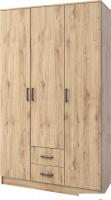 Шкаф распашной Mio Tesoro Хюгге 3D2S (дуб наварра)