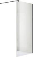 Душевая стенка Adema Реген 100 Walk-In (графит браш)