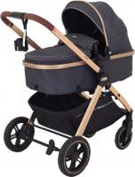 Универсальная коляска Rant Basic Roller Gold RA161 (2 в 1, grey)