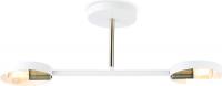 Припотолочная люстра Ambrella light Traditional TR8222/2 WH/SB