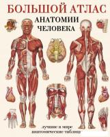 Энциклопедия издательства АСТ. Большой атлас анатомии человека (Махиянова Е.)