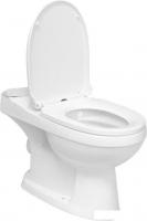 Унитаз напольный AV Engineering AVFTNR2620AB