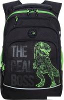 Школьный рюкзак Grizzly RB-450-3f (черный/салатовый)