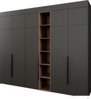 Шкаф распашной Рэйгрупп Рэй S262-В14-3-WKW В14-3 (дуб веллингтон/кобальт)