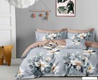 Постельное белье Реноме Евро Оливковая коллекция УУ 877 (поплин)