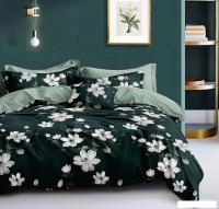 Постельное белье Реноме Евро Оливковая коллекция УУ 2443 (поплин)